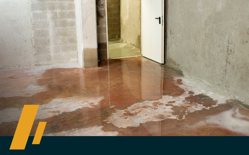 When to Reach Out - Dirt Cheap Sewer Co. image of a flooded basement