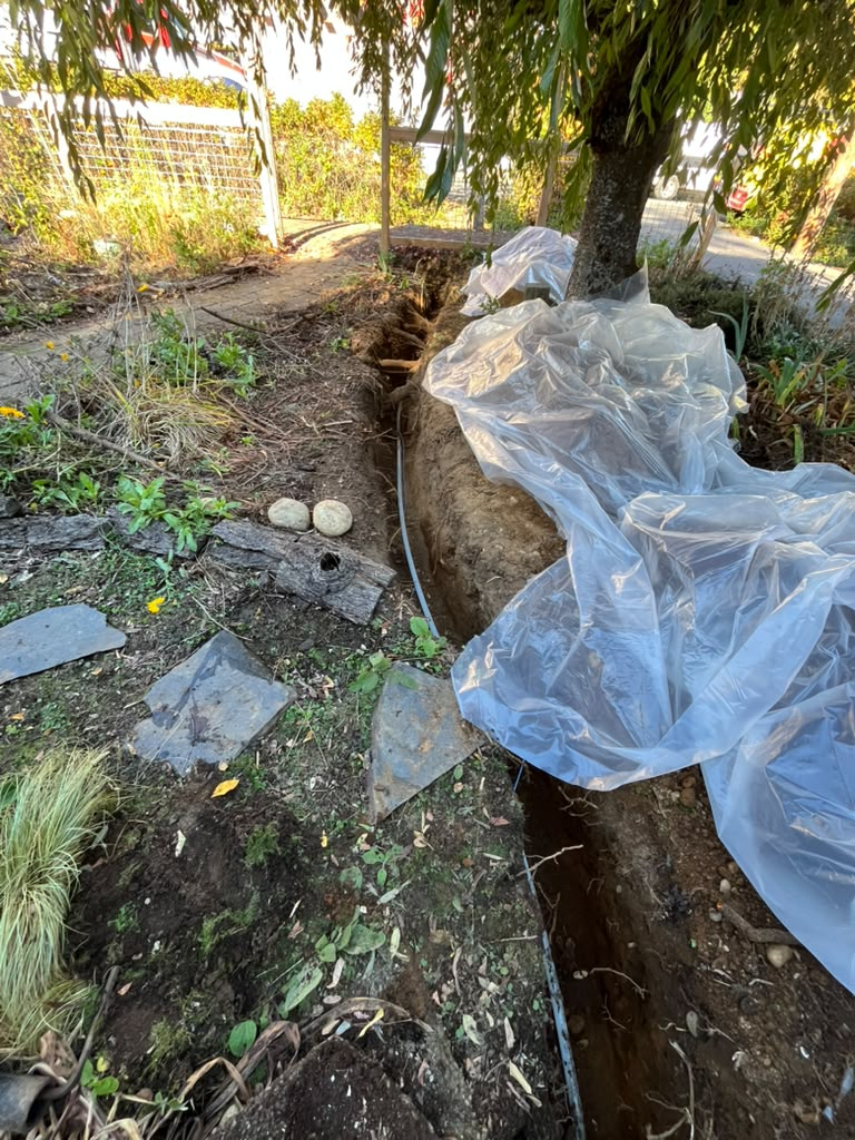 water-lines-replacement - Dirt Cheap Sewer Co. Water line trench dug along a tree in a garden, covered with a large plastic sheet, with exposed soil and a black pipe running along the trench.